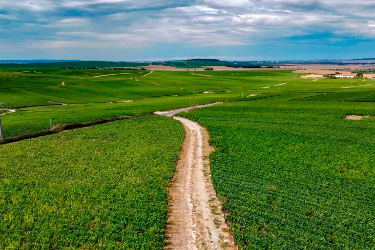 Vallée de la Marne