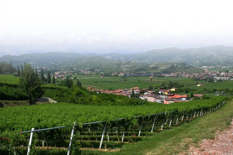 Valpolicella