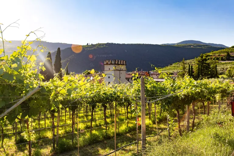 Recioto della Valpolicella