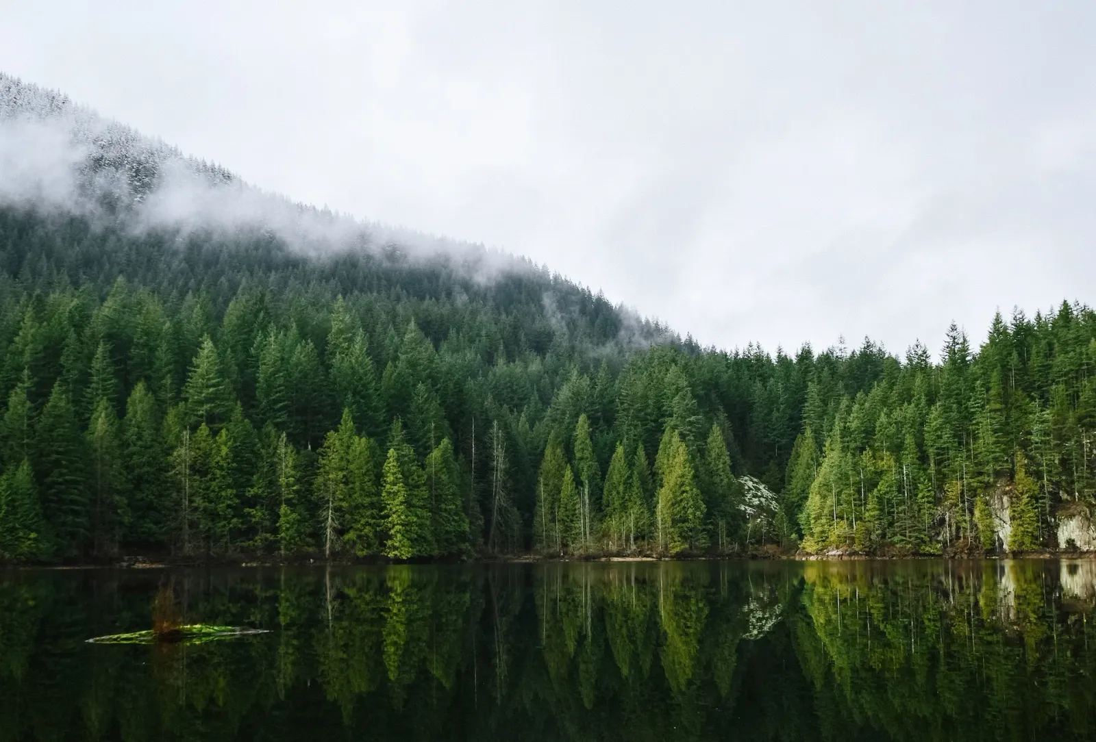 Vancouver Island