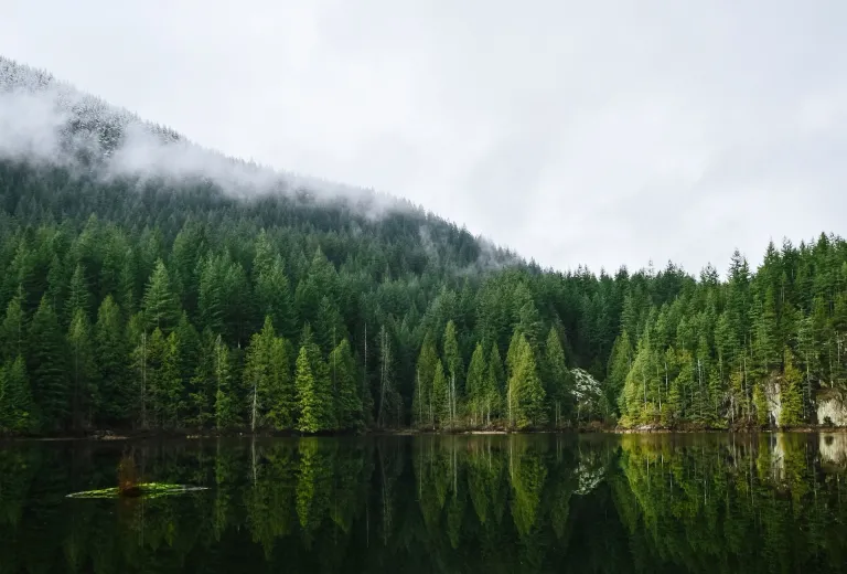 Vancouver Island
