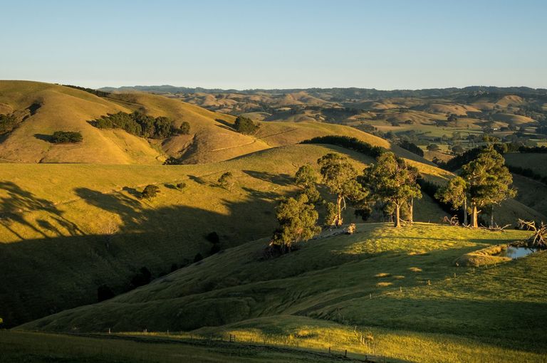 Alpine Valleys