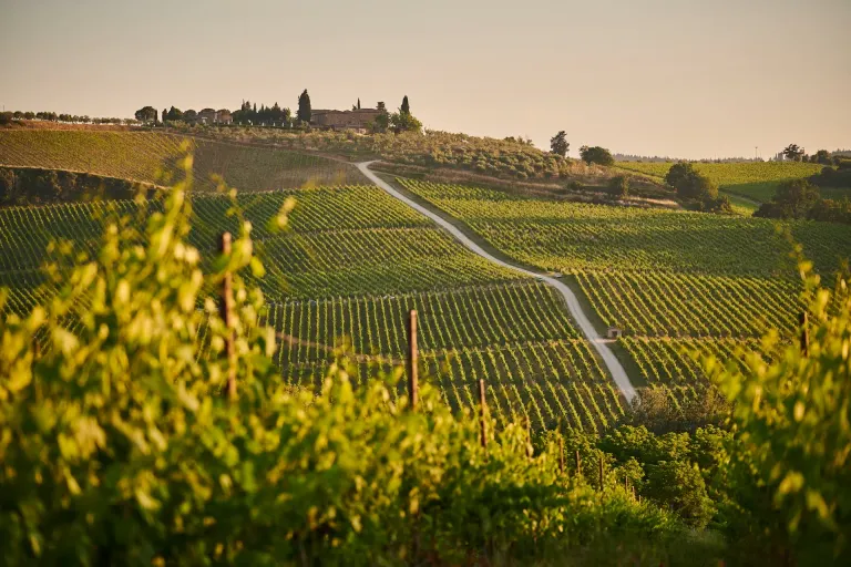 Vin Santo del Chianti Classico
