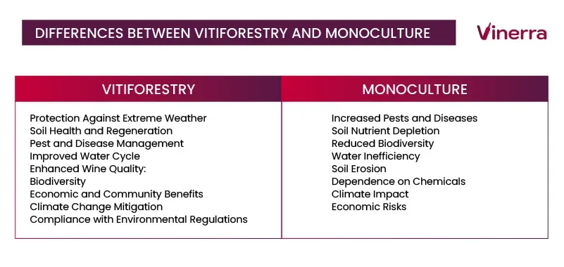 What are the differences between Vitiforestry and Monoculture?