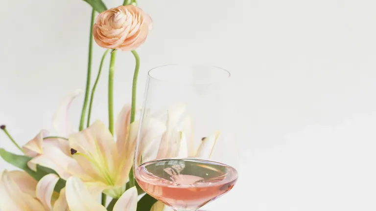 White Zinfandel Wine: the Essential Guide