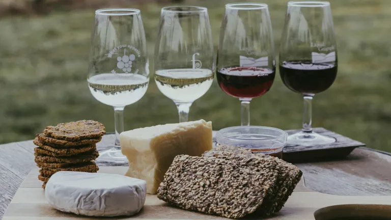 Wine Business Management | What Are the Costs of Creating and Maintaining a Wine Club?