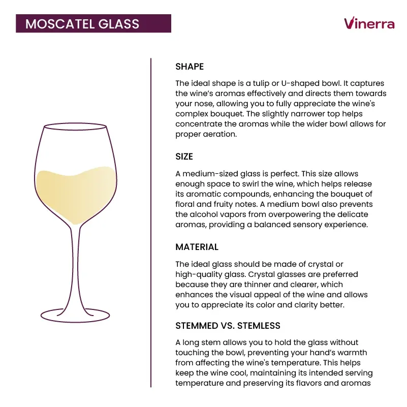 Tips for Serving and Storing Moscatel Wine