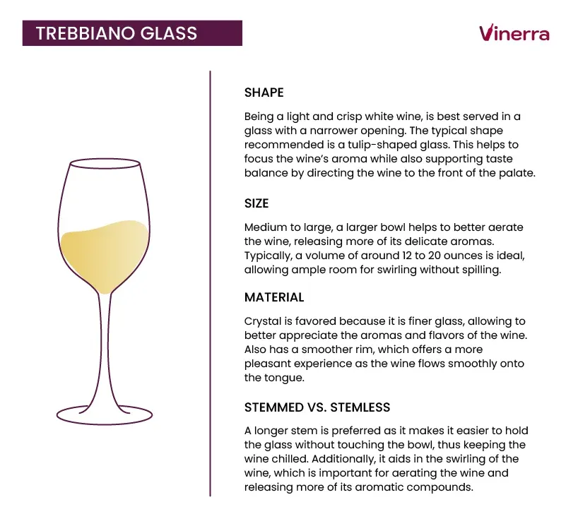 Tips for Serving and Storing Trebbiano Wines