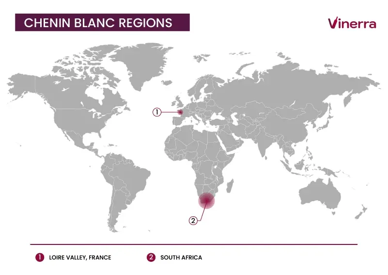 Main Producers of Chenin Blanc Wines