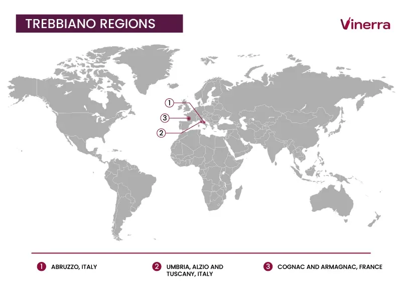 Main Regions Producing Trebbiano Grape Wines and Climate Influence
