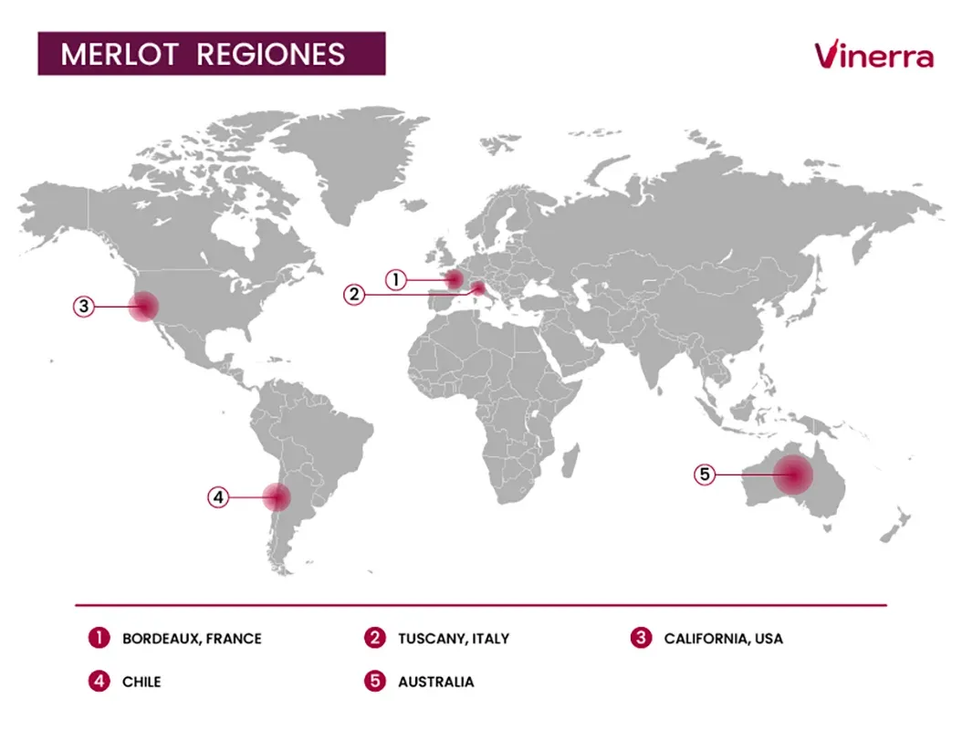Main Regions and Terroir Influence in Merlot Wines