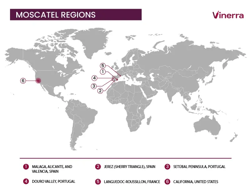Main Regions Producing Moscatel Wine