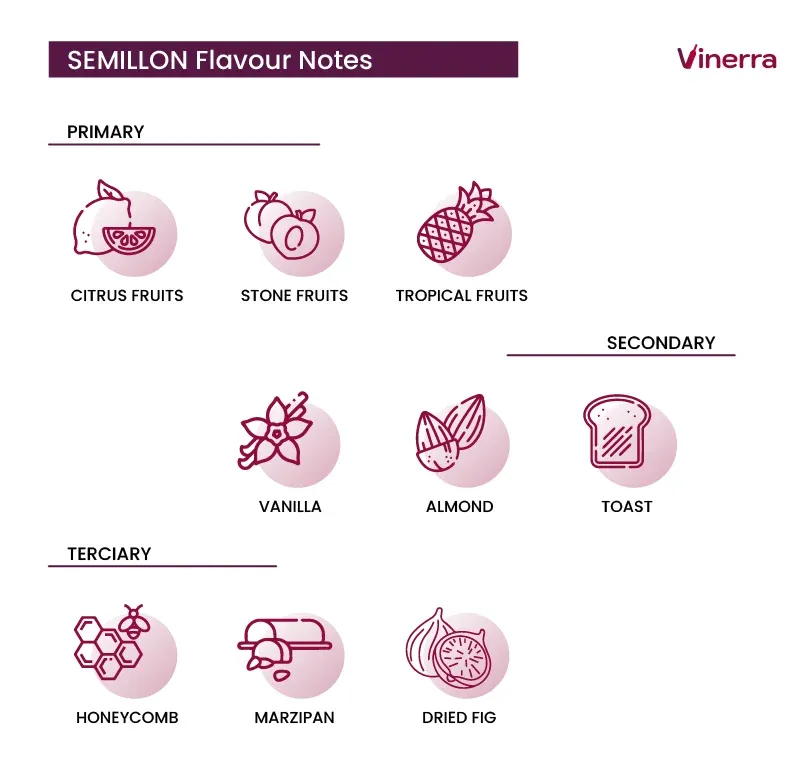 How does Semillon Taste?