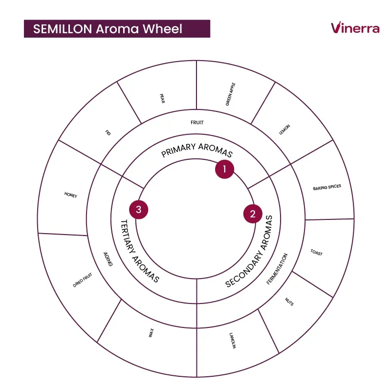 How is the Aroma of Semillon Wines?