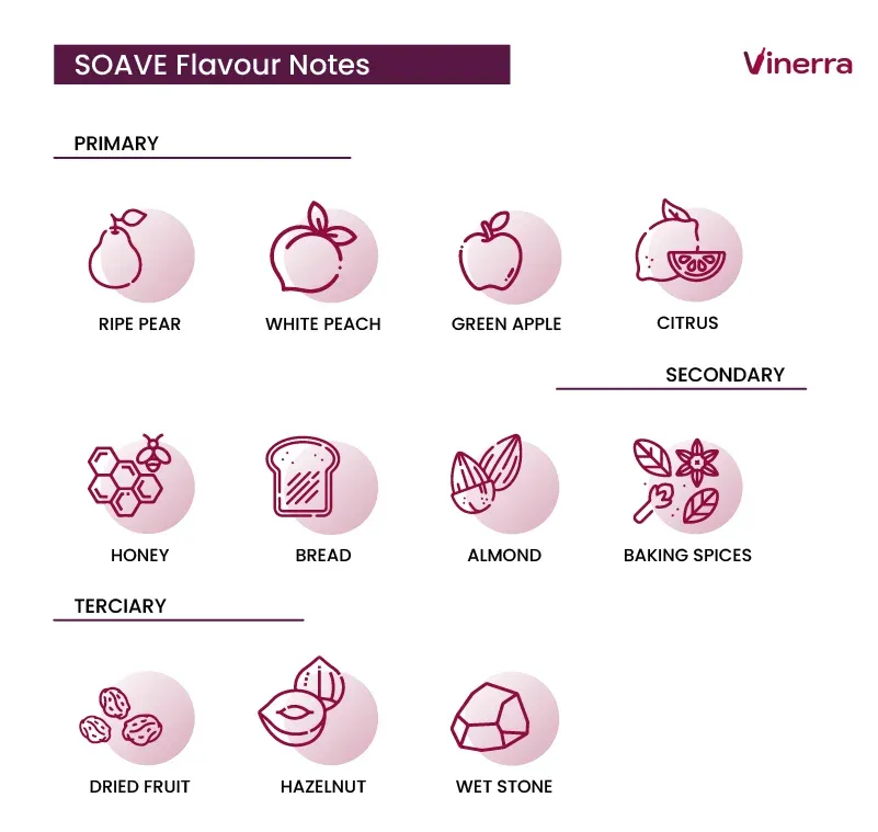 Taste Notes of Soave