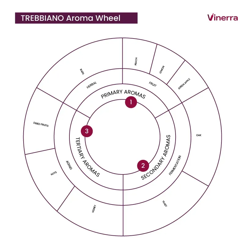 TREBBIANO Aromatic Notes
