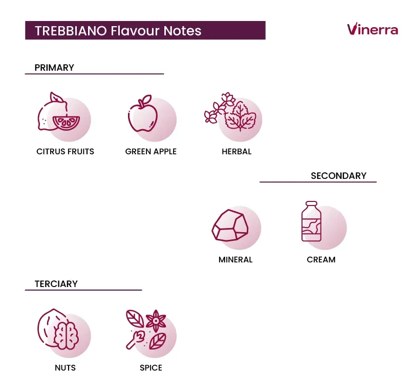 TREBBIANO Taste Notes