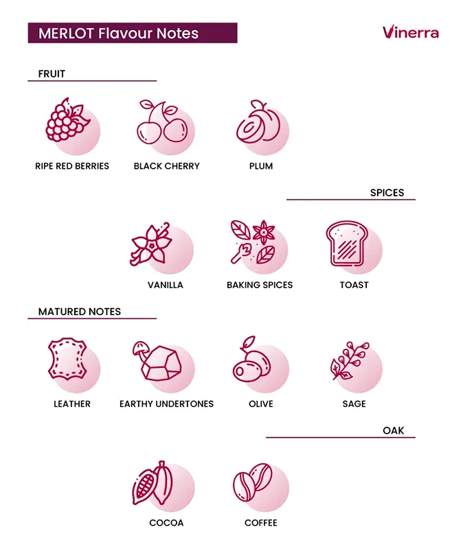 Merlot Taste Notes