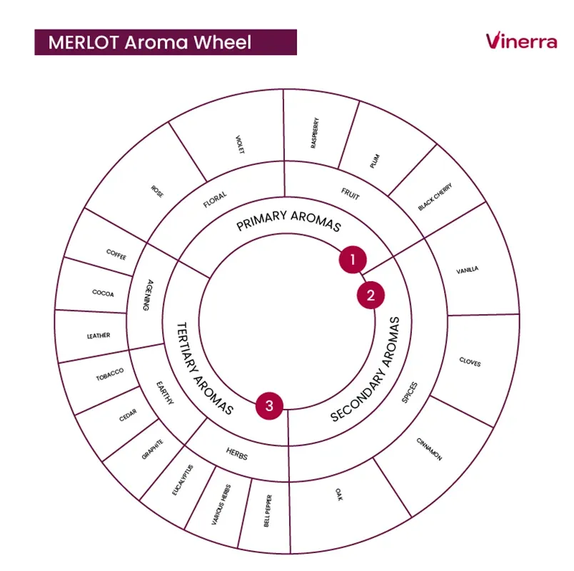 Merlot Aromatic Notes