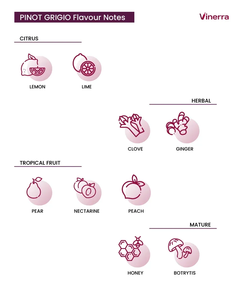 pinot grigio taste notes