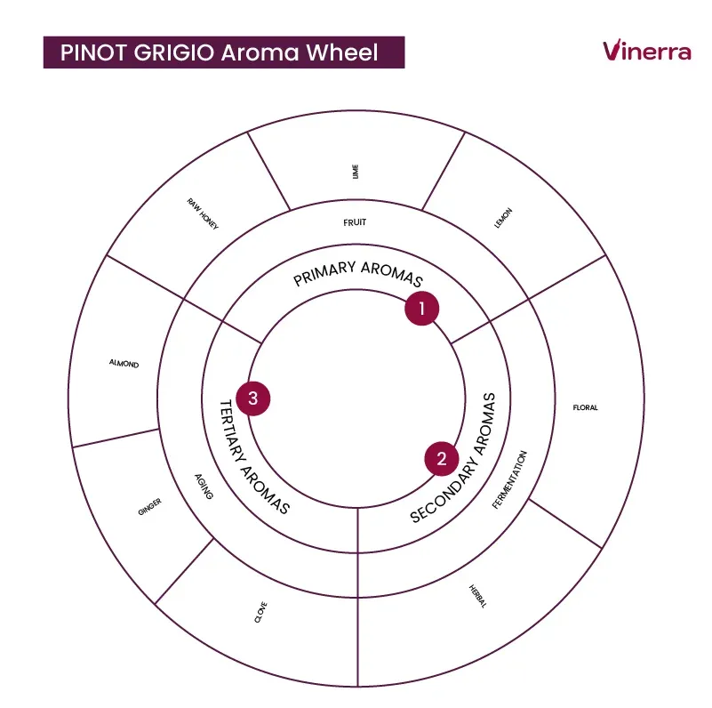 pinot grigio aromatic notes