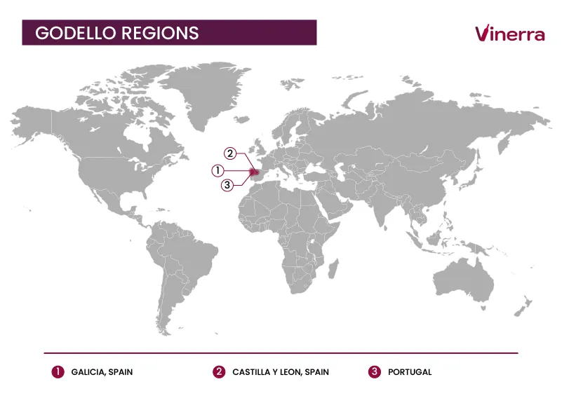 Main Regions for Godello Wine Production