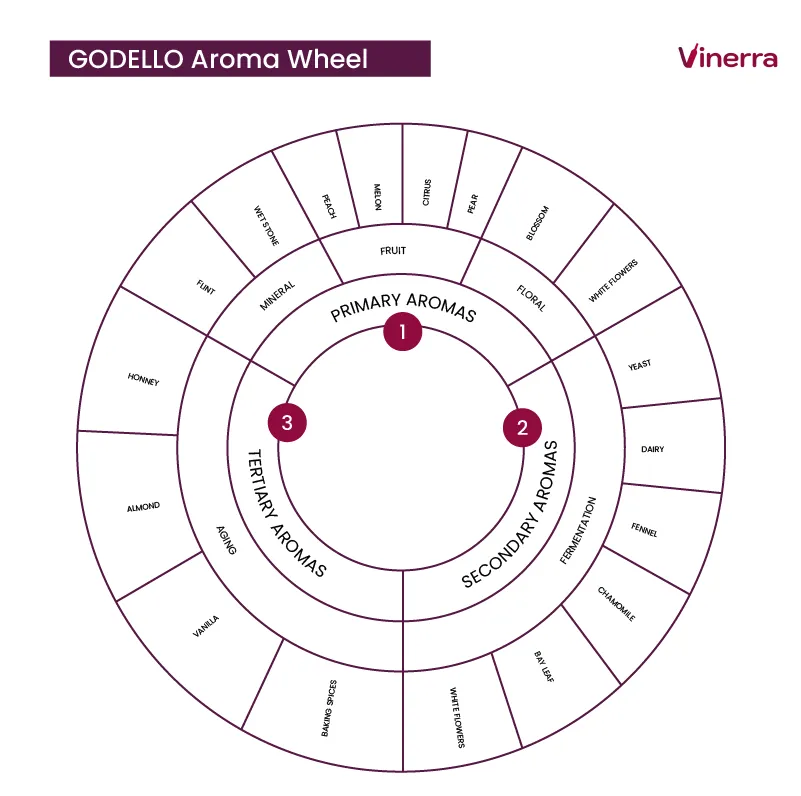 Godello Aromatic Notes