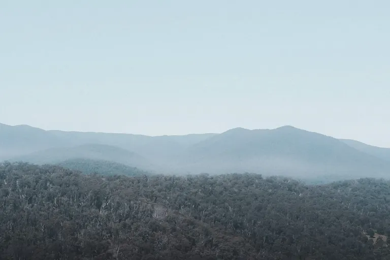Yarra Valley