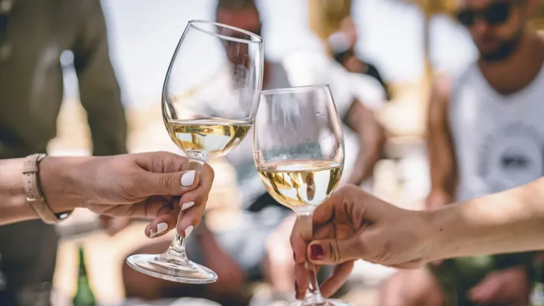 Grüner Veltliner: an In-Depth Wine Profile